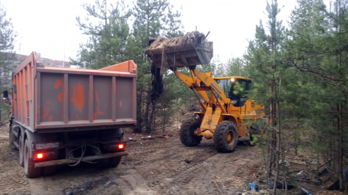 Почти 83 тысячи кубометров несанкционированных отходов вывезли в Нижегородской области