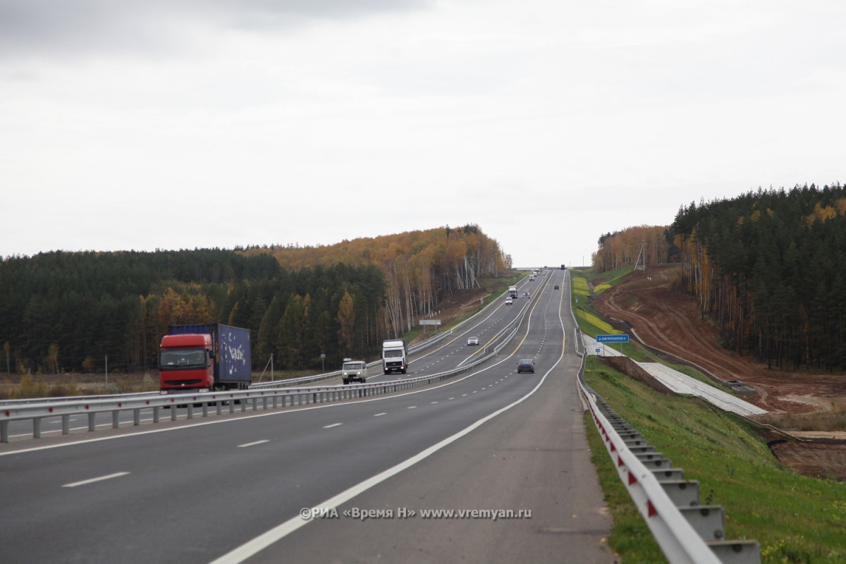 Голый мужчина бегал по Московскому шоссе в Нижнем Новгороде
