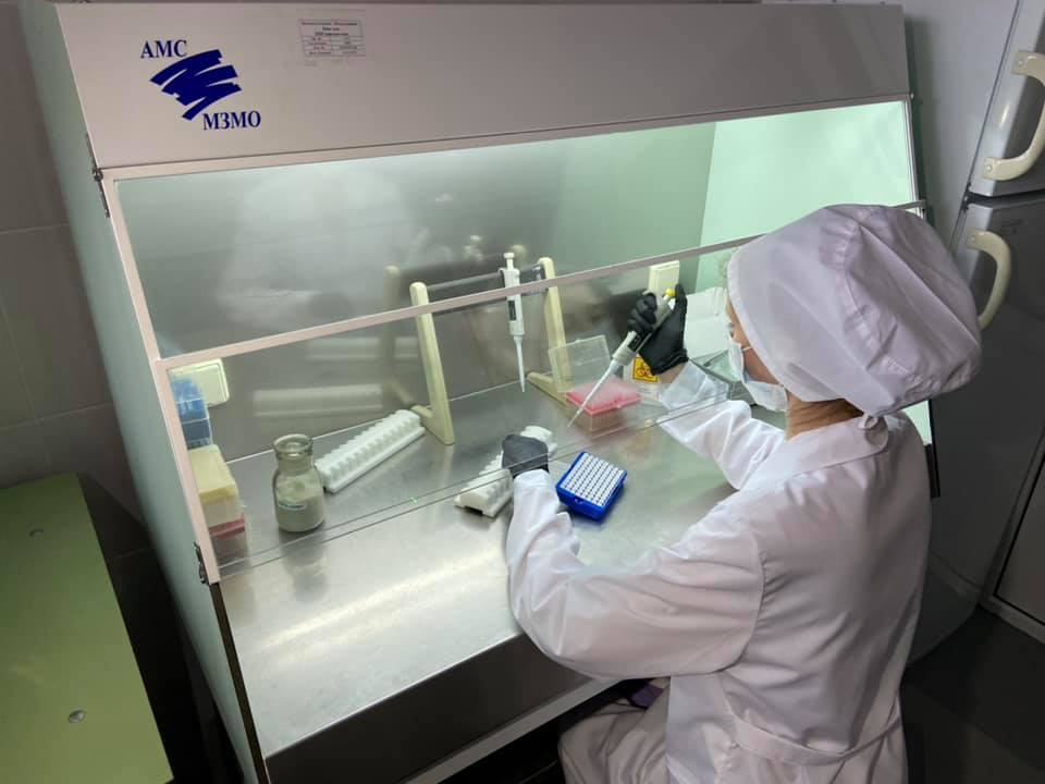 Более 204,5 тысяч тестирований на коронавирус провели в Нижегородской области