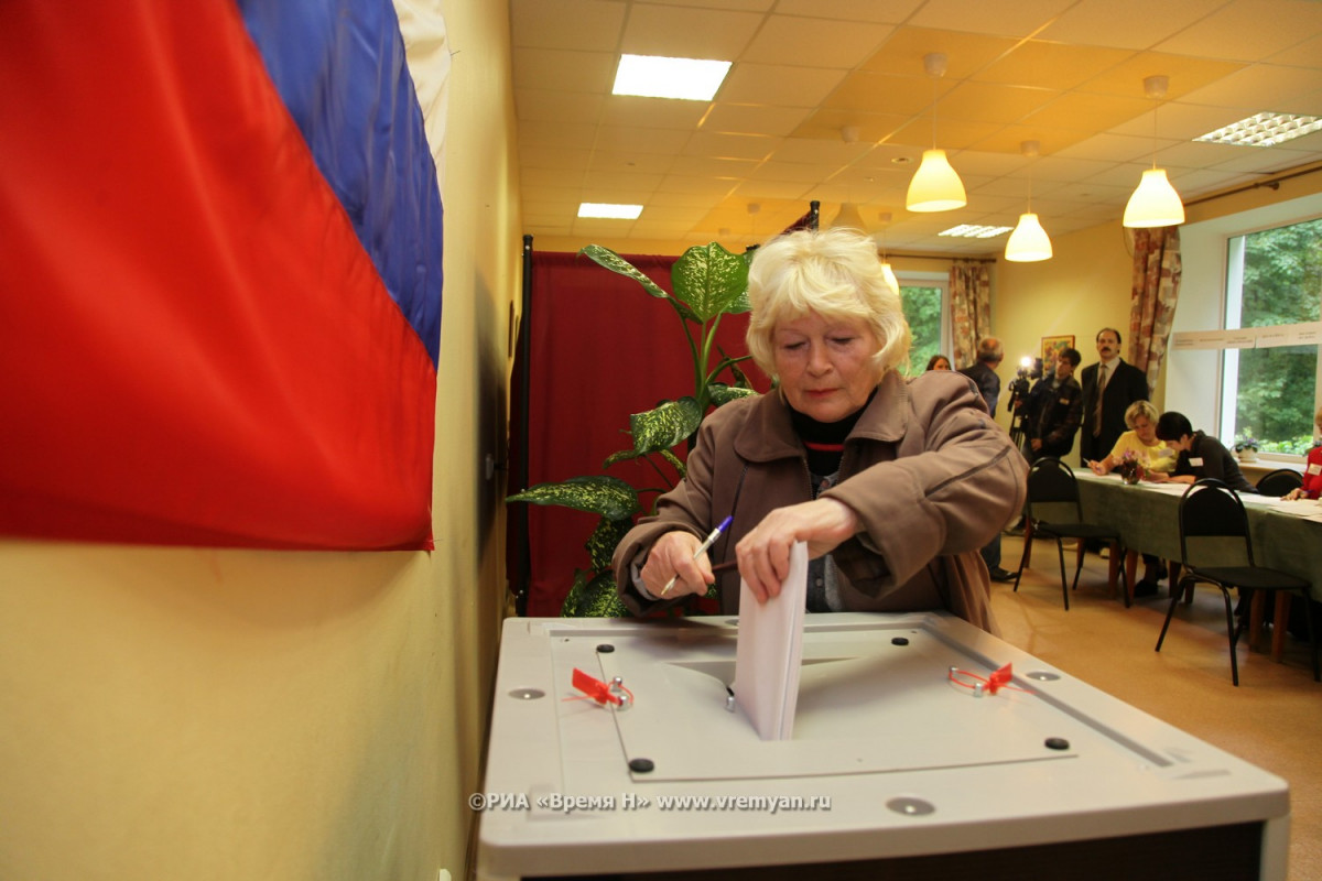 Закон об электронном голосовании приняли в Нижегородской области
