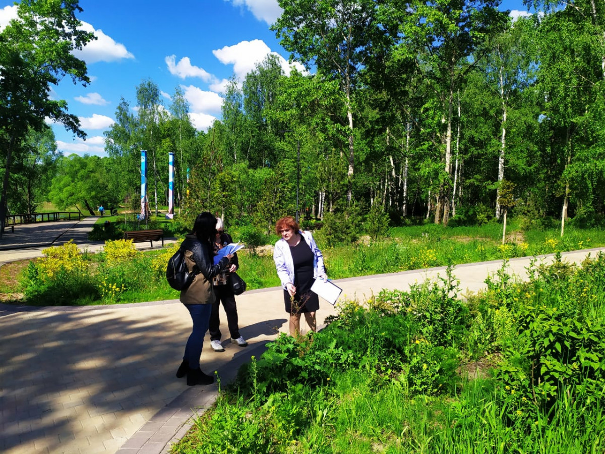 В Нижнем Новгороде проверяют, как прижились деревья и кустарники