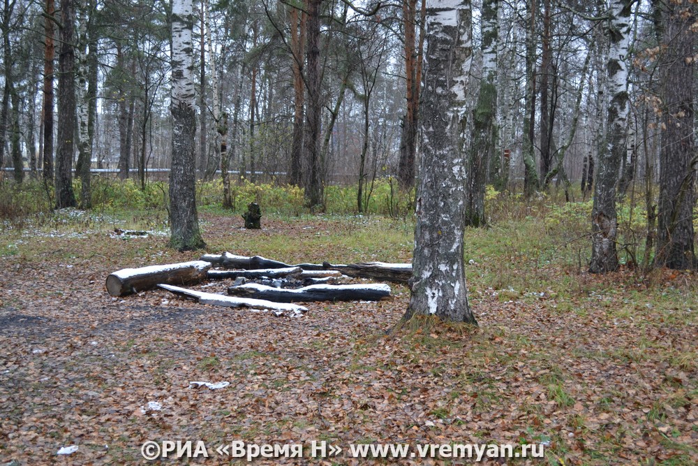 Участника хоровода в Стригинском бору оштрафовали