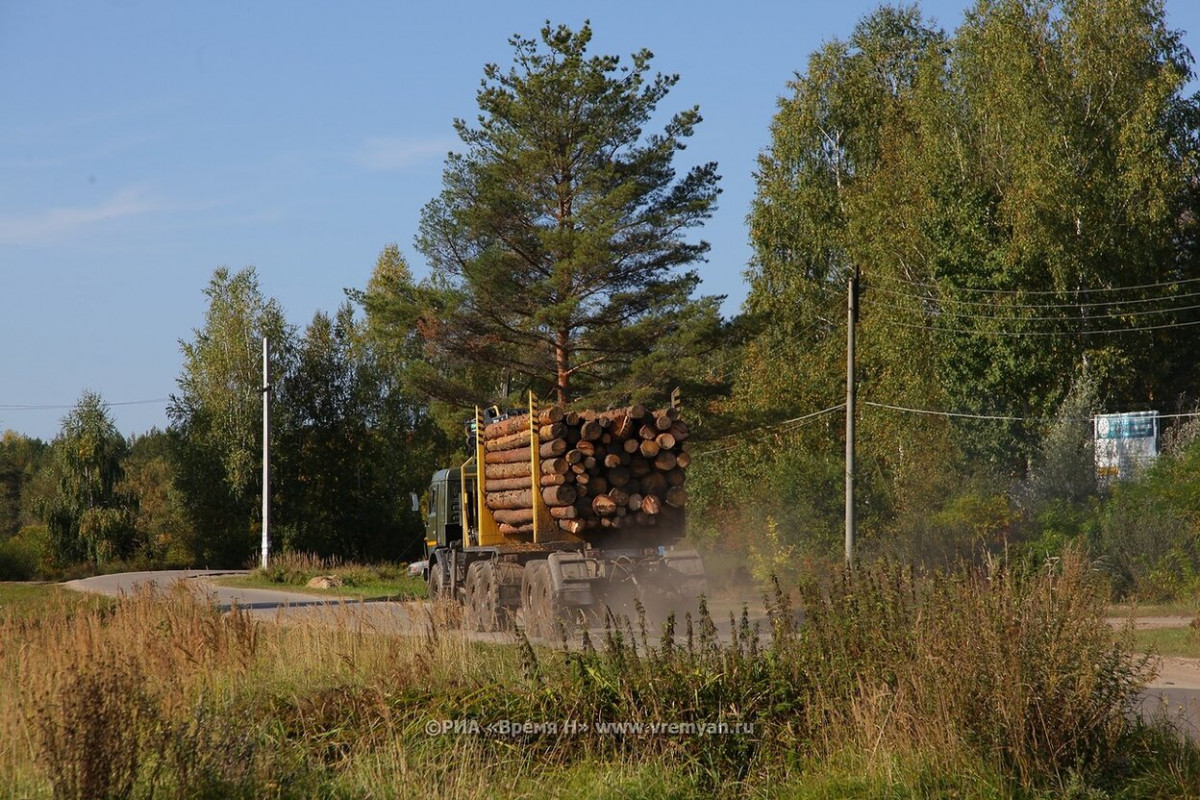 Житель Чкаловского района незаконно вырубил деревья на 700 тысяч рублей