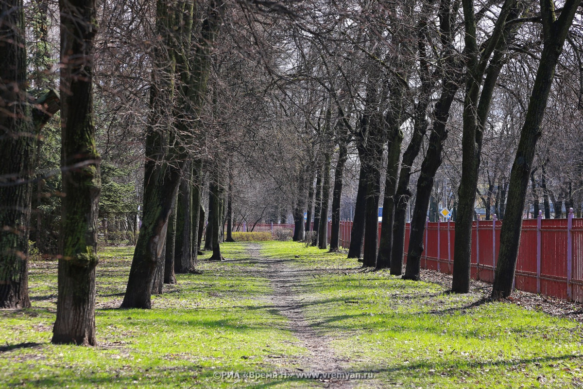 Парки могут открыться в Нижегородской области 12 июня