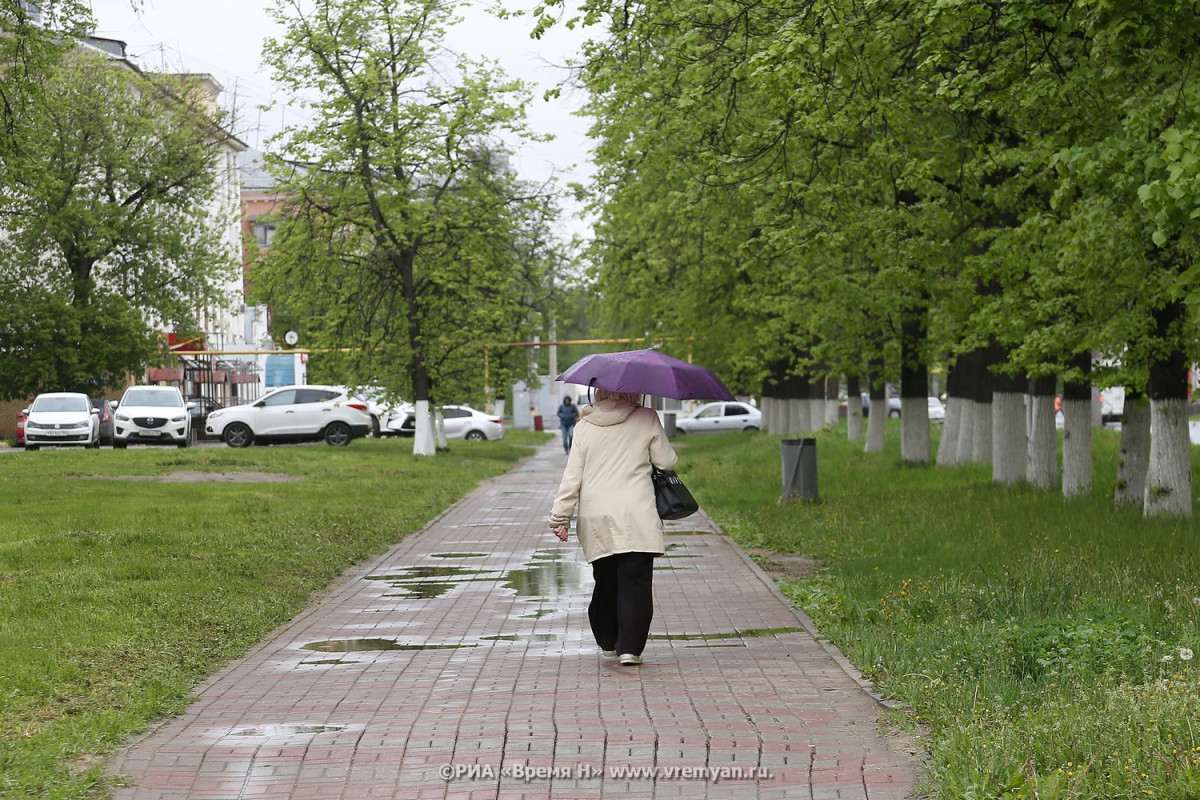 Пасмурно и дождливо будет в Нижнем Новгороде в выходные