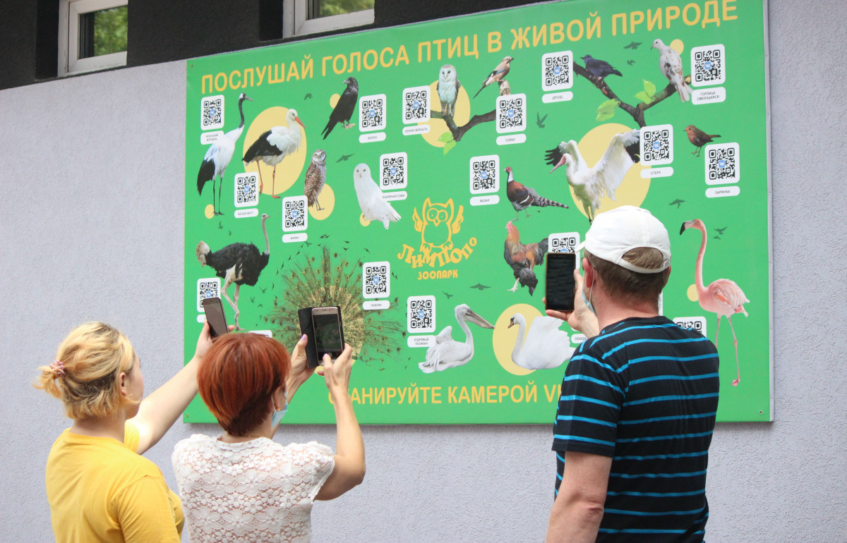 Технологию дополненной реальности запустили в нижегородском «Лимпопо»
