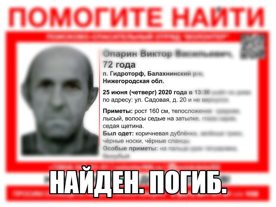 72-летнего Виктора Опарина, пропавшего в Балахнинском районе, нашли мертвым