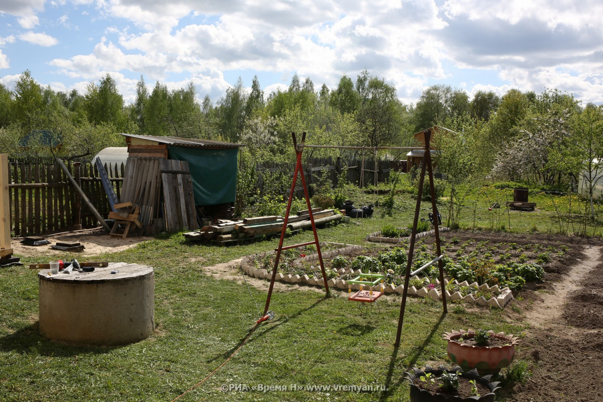 «Дачную амнистию» планируется продлить на пять лет