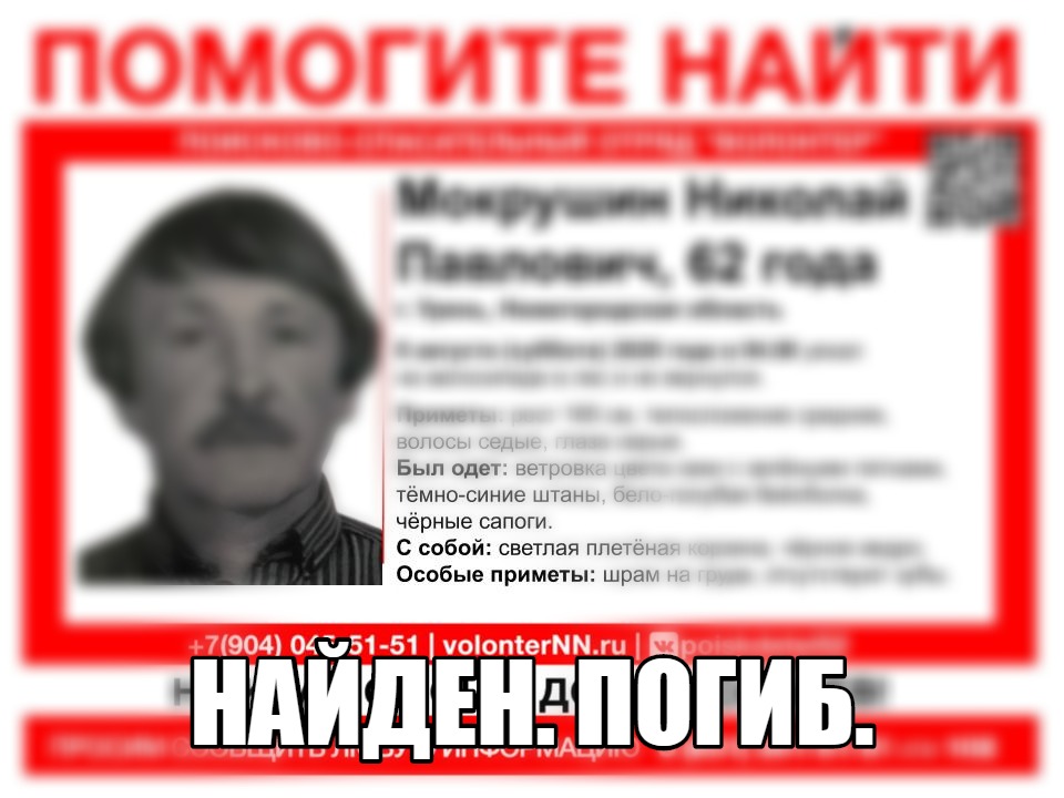 Пропавший в Нижегородской области Николай Мокрушин найден погибшим