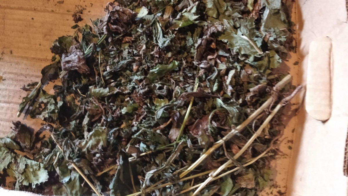 Почти 900 граммов маковой соломы изъяли у жителя Большеболдин-ского района