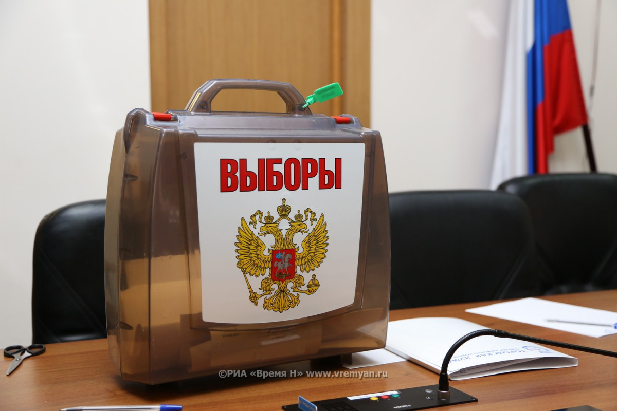Досрочное голосование началось в Нижегородской области