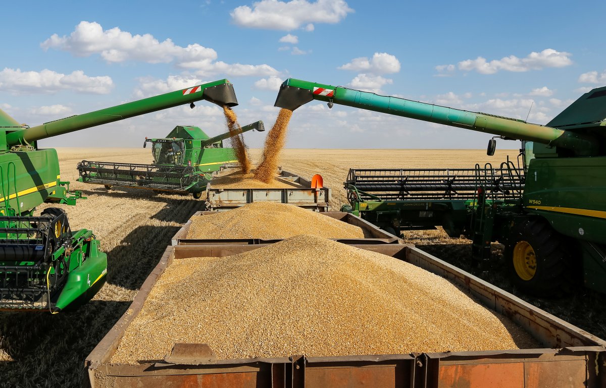 Нижегородские аграрии уже собрали 1,5 миллиона тонн зерна