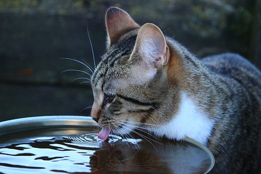 700 домов под Нижним Новгородом на сутки останутся без воды