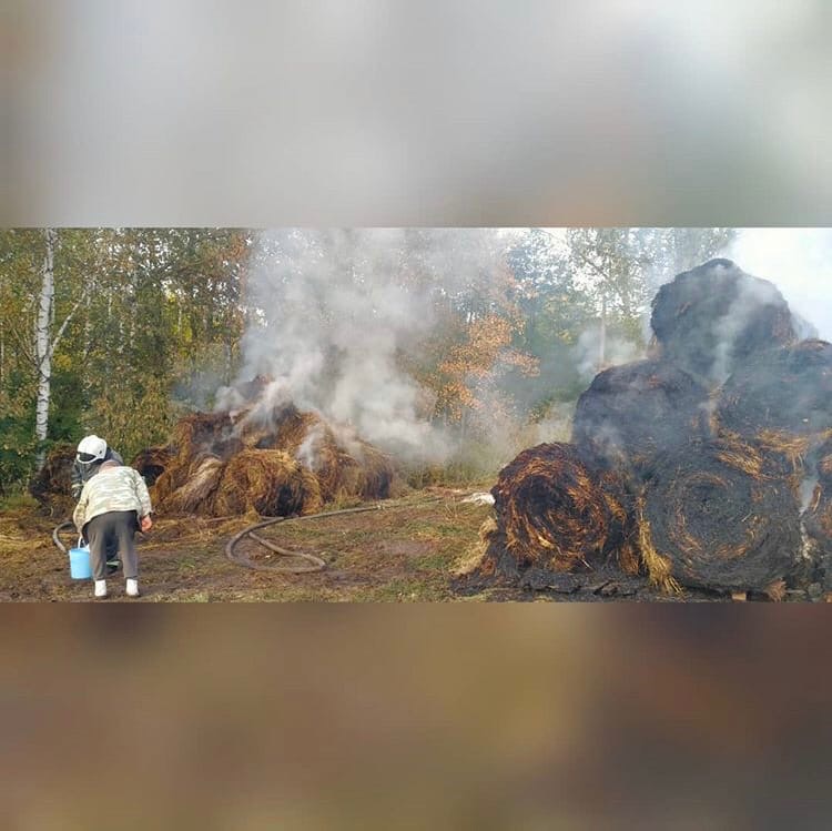 Пожар в Гнилицах уничтожил запас сена для лошадей
