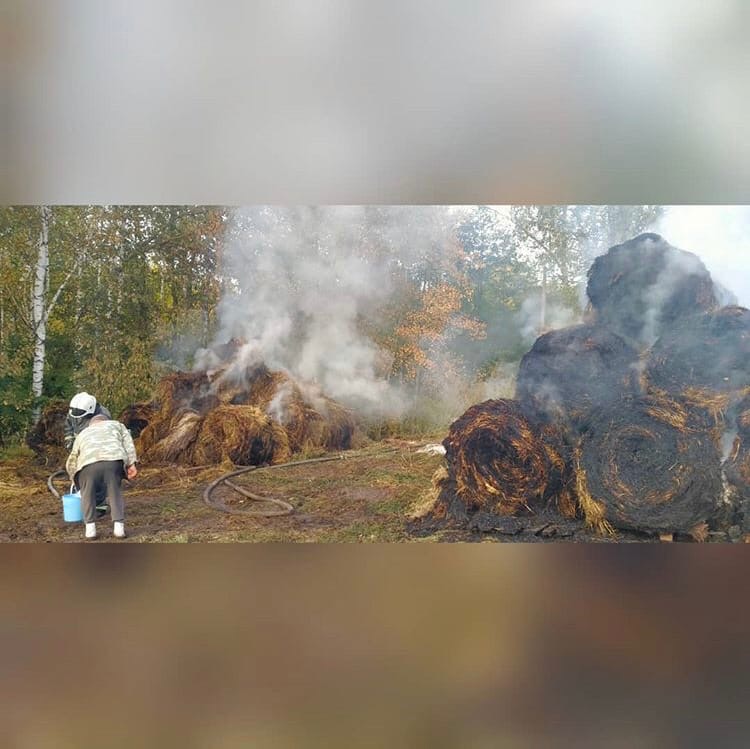 Пожар в Гнилицах уничтожил запас сена для лошадей
