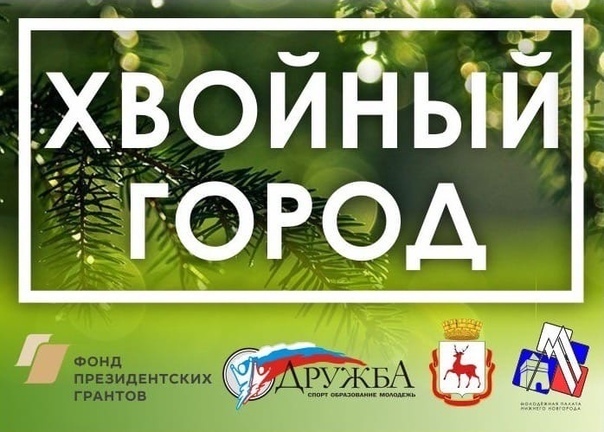 Жителям Дзержинска предлагают выбрать места высадки хвойных аллей