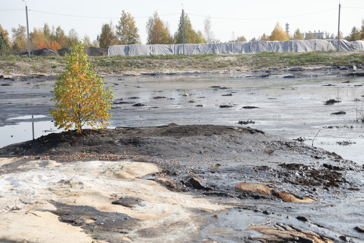 Три объекта накопленного экологического вреда осмотрели в Дзержинске