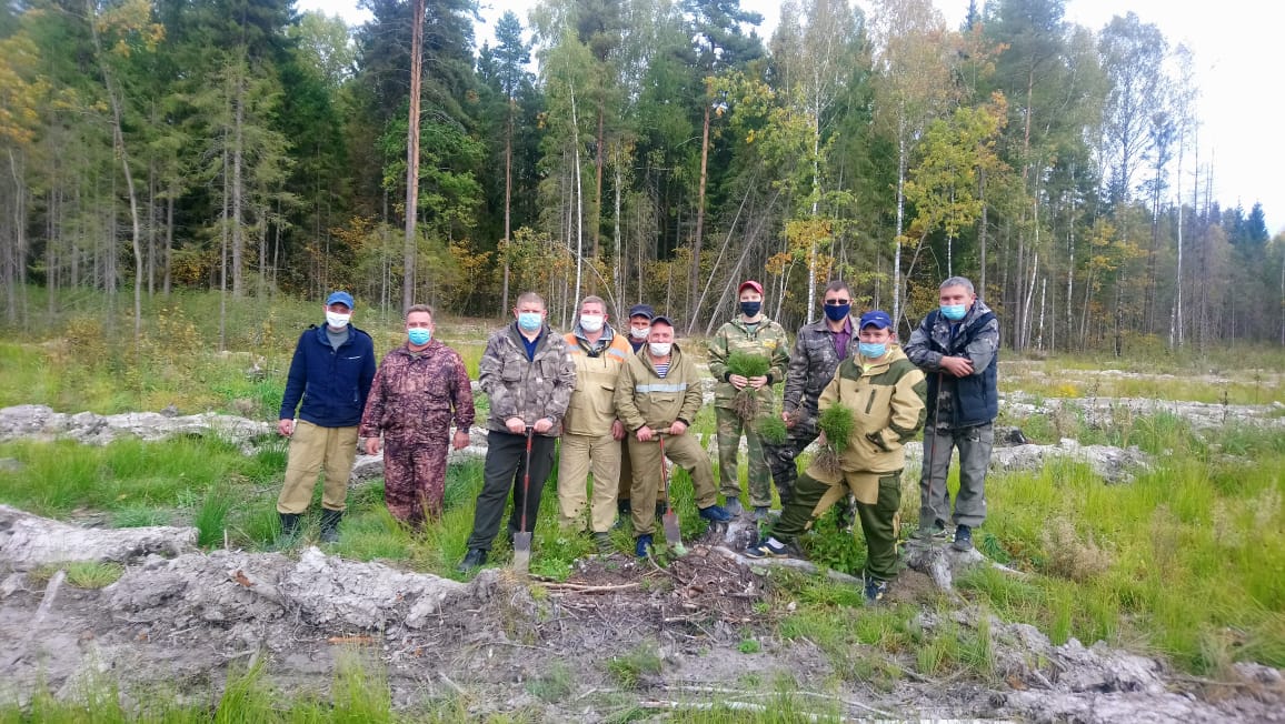 Никитин: в Нижегородской области высадили более 200 тысяч деревьев в рамках акции «Сохраним лес»