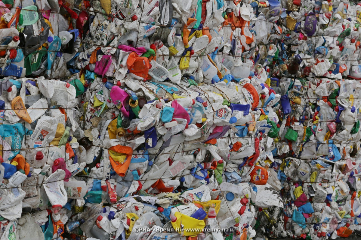 Жители Богородска жалуются на свалку отходов