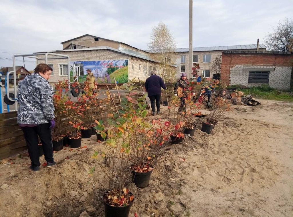 Кавинов: в деревне Крутцы по программе местных инициатив за два года обустроили территорию отдыха