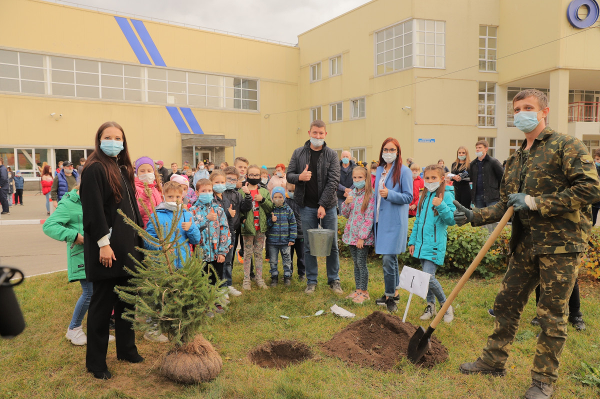 В Дзержинске высажено 200 елей в рамках проекта «Хвойный город»