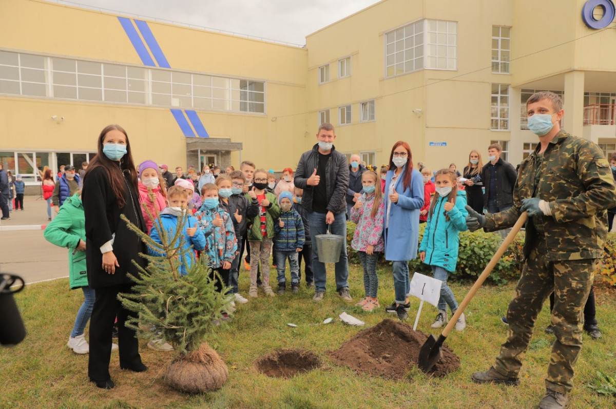 Более 200 деревьев посадили в Дзержинске в рамках проекта «Хвойный город»