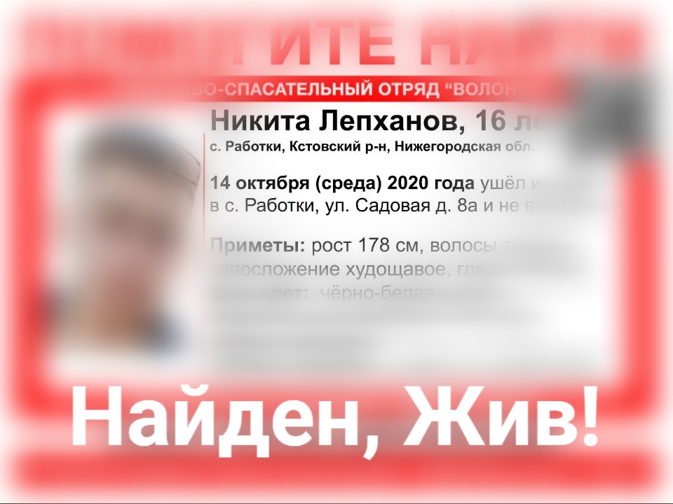 Никита Лепханов, пропавший в Кстовском районе, найден живым
