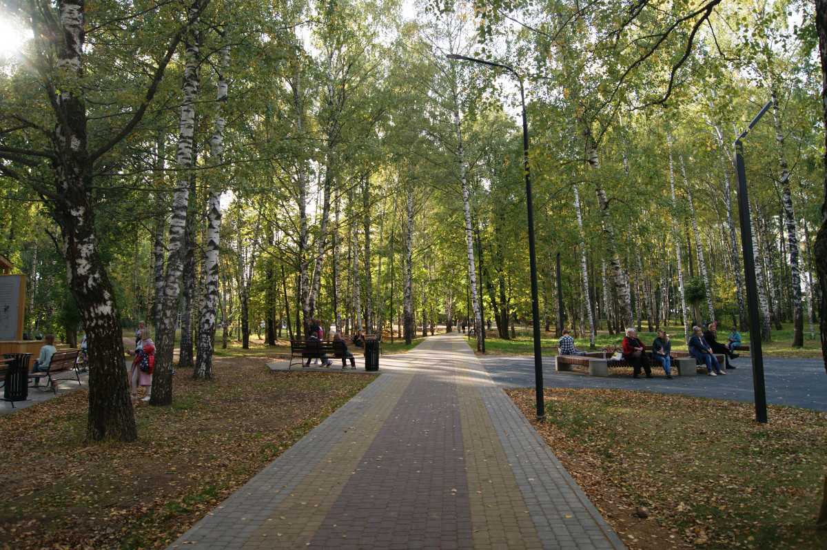 Сломанные светильники в нижегородском парке им. А.С. Пушкина заменят в течение 60 дней