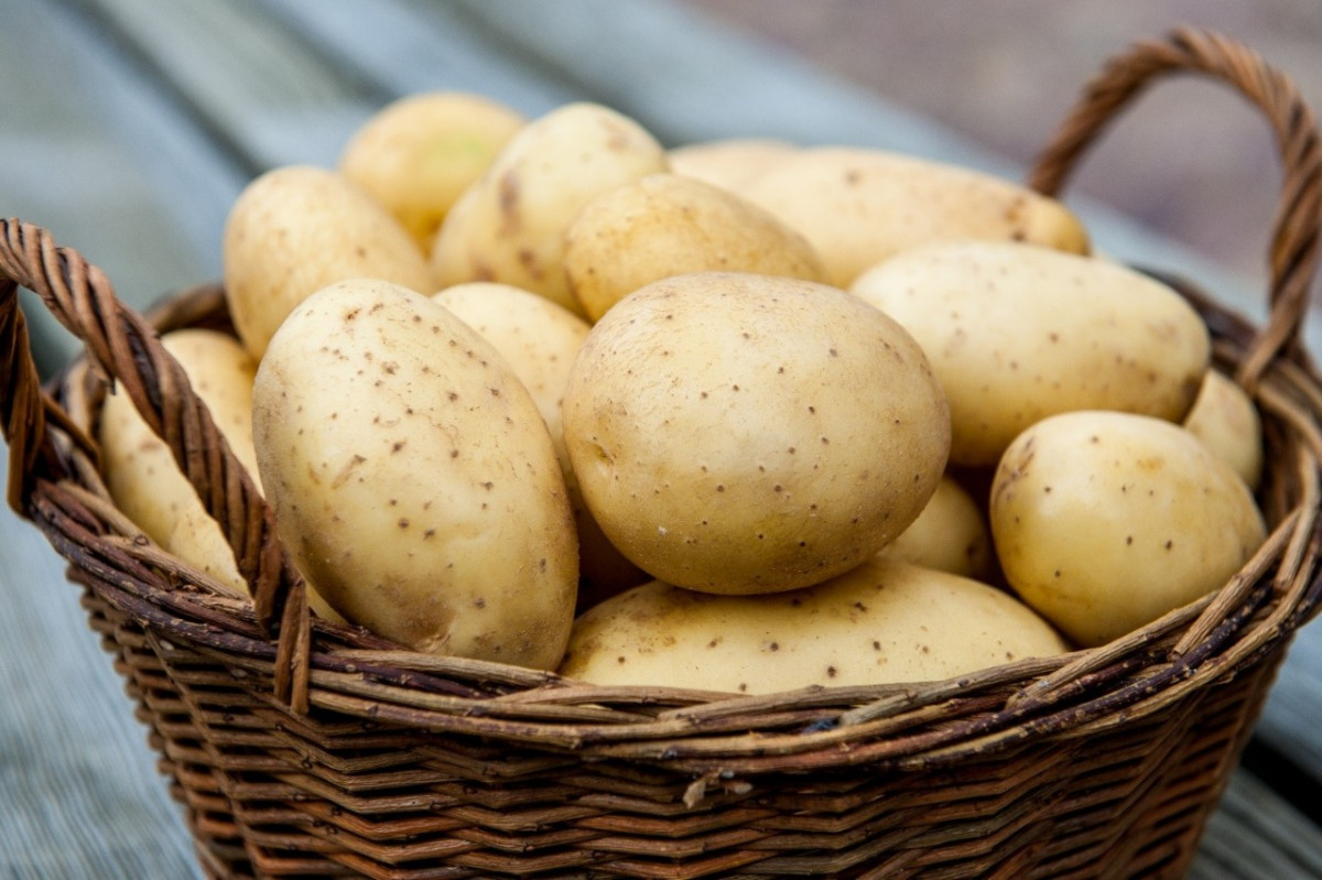«Арзамасский картофель» присоединился к борьбе за лидерство в конкурсе «Вкусы России»