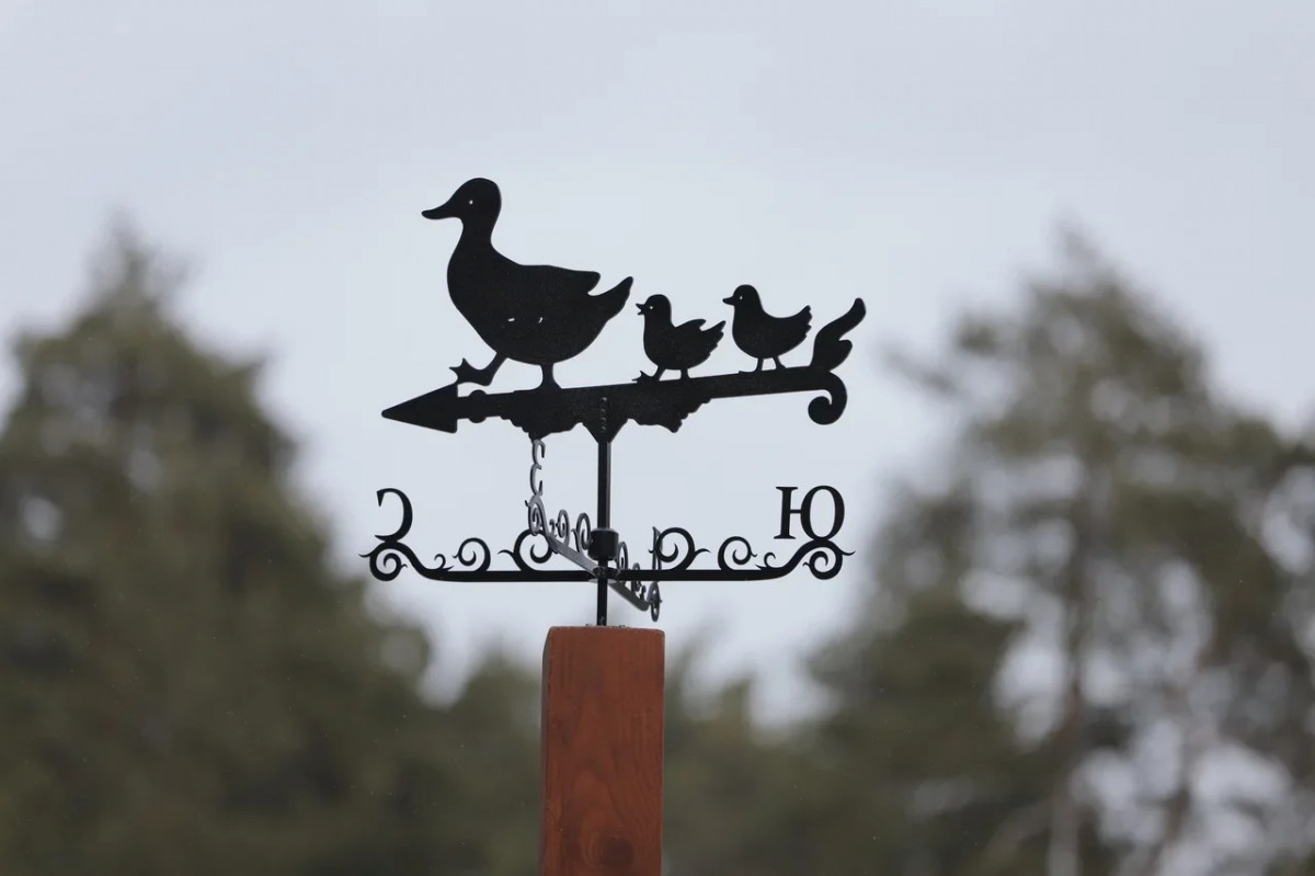 Три флюгера в форме уток появились на территории парка «Утиное озеро»