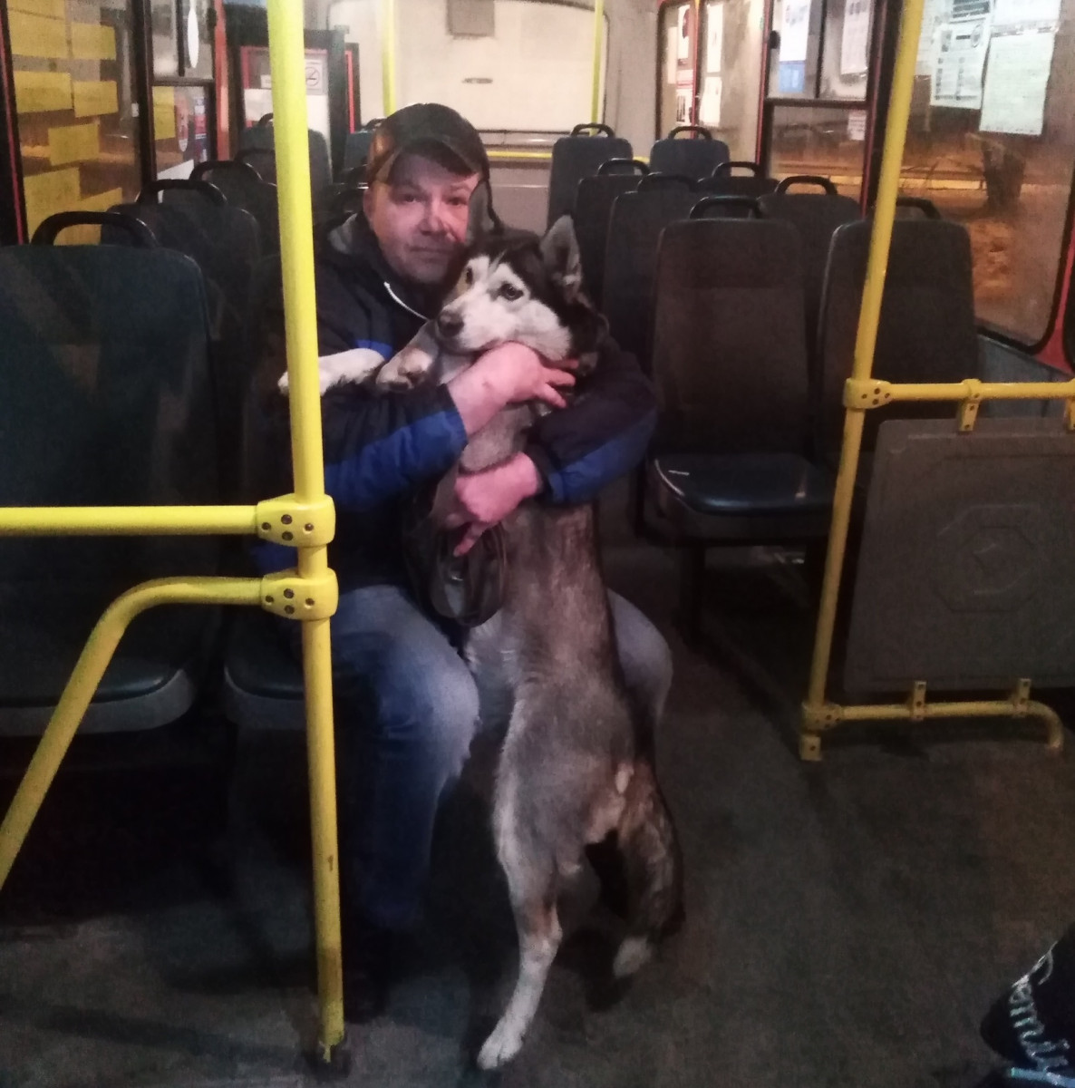 Собаку-кондуктора из Нижнего Новгорода вернули хозяину