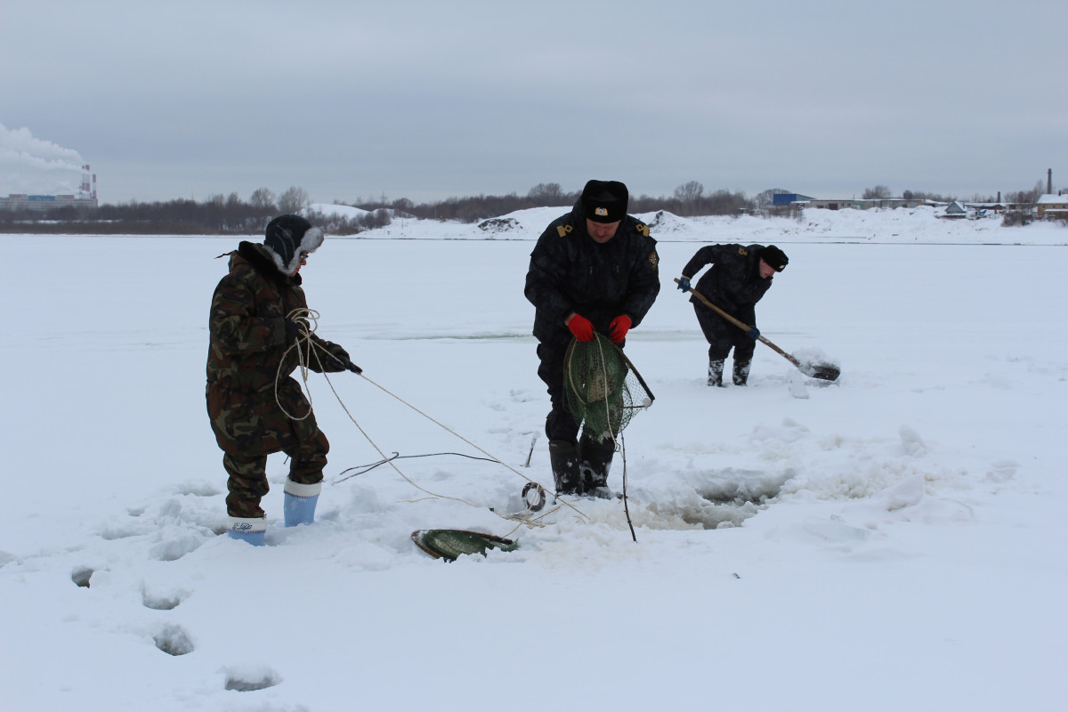 Добывать налима в Нижегородской области запретят с 20 декабря