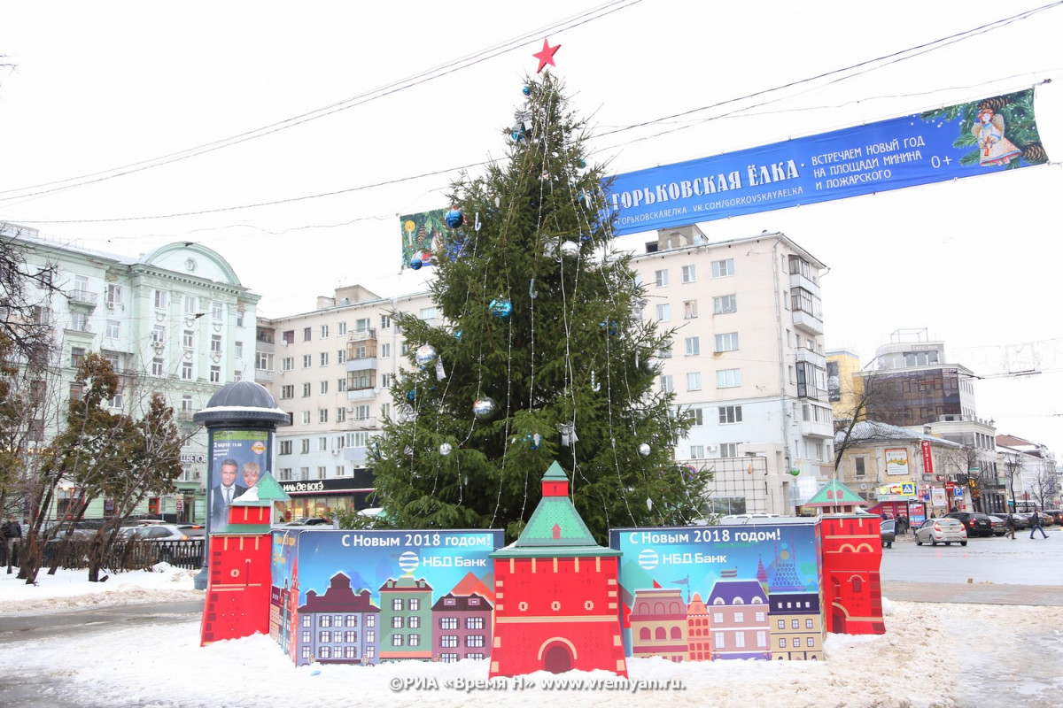 Названа средняя цена российской новогодней елки