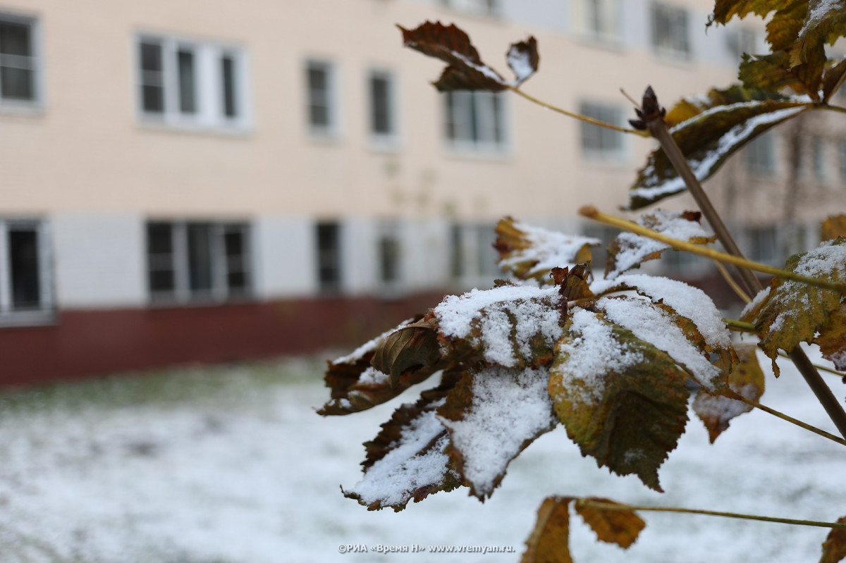 Похолодание и снег пришли в Нижегородскую область