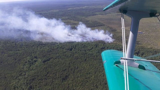 Лесной пожар ликвидировали в Керженском заповеднике
