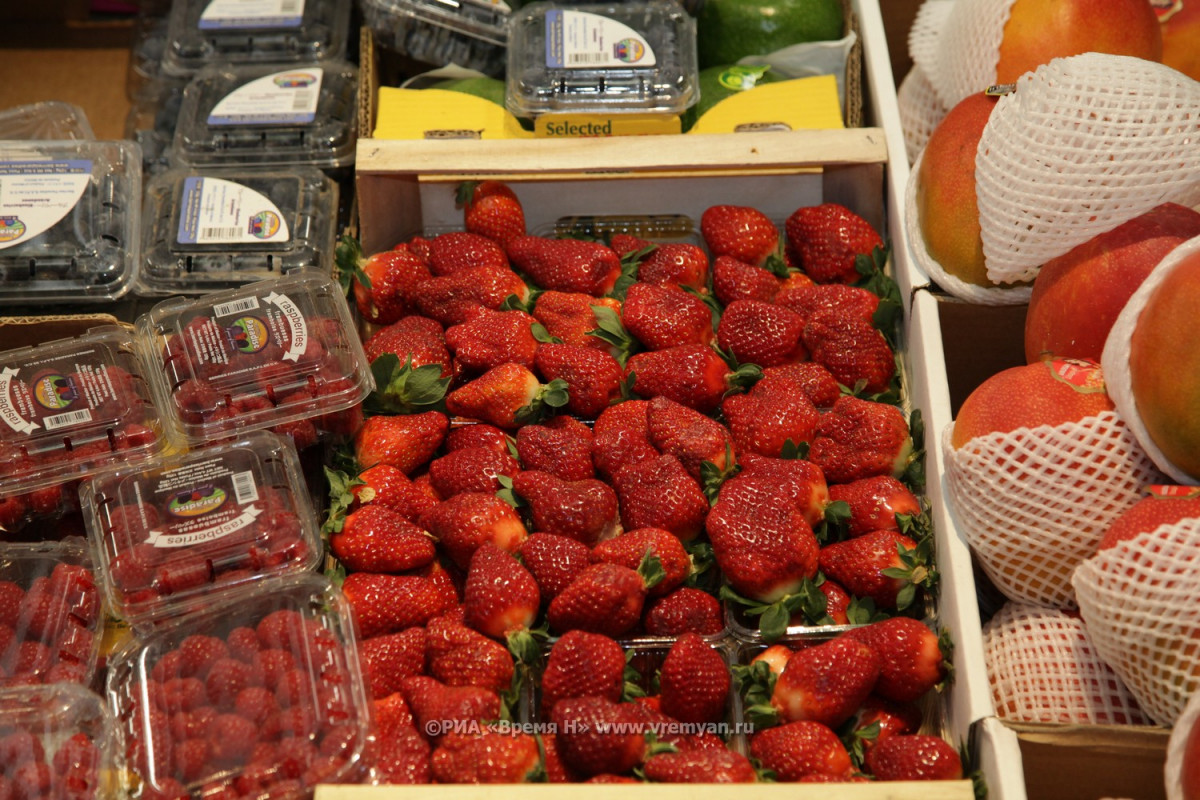 Названы лучшие места для сбора ягод в Нижегородской области