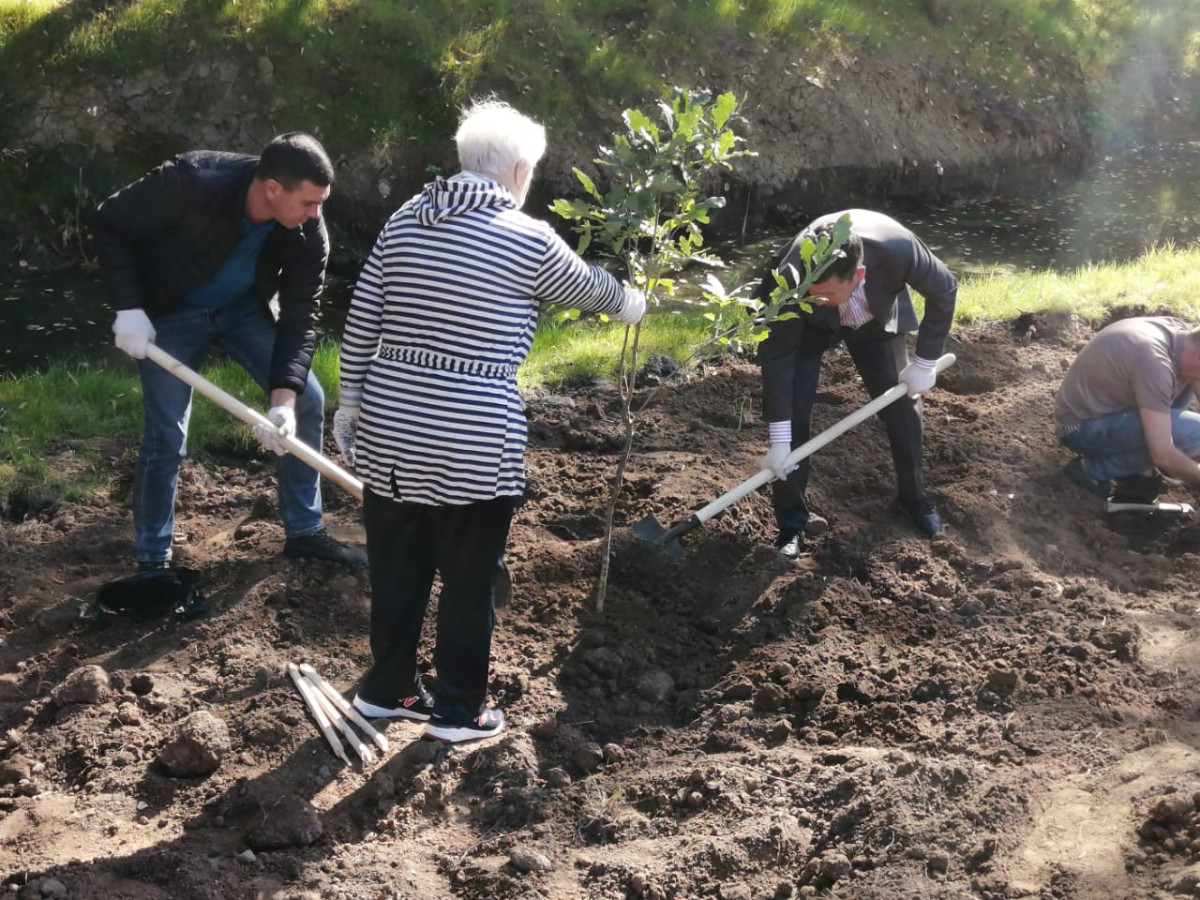 Жители Ленинского района заложили дубовую рощу на берегу Борзовки