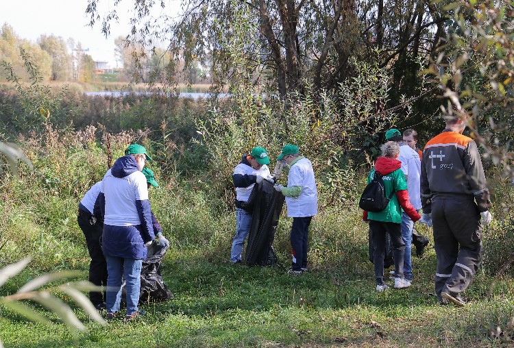 Акция по уборке прибрежной территории Мещерского озера прошла в Нижнем Новгороде