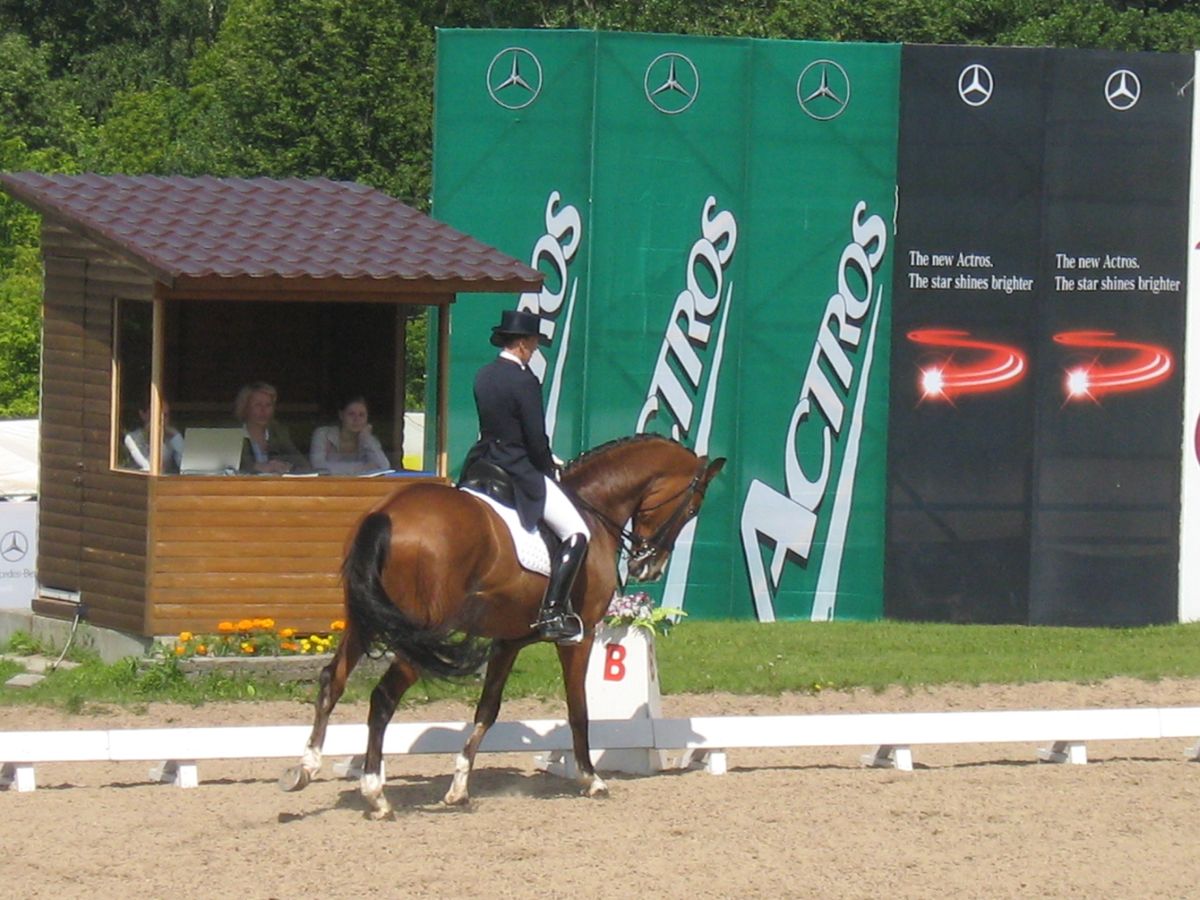 конный спорт выездка3