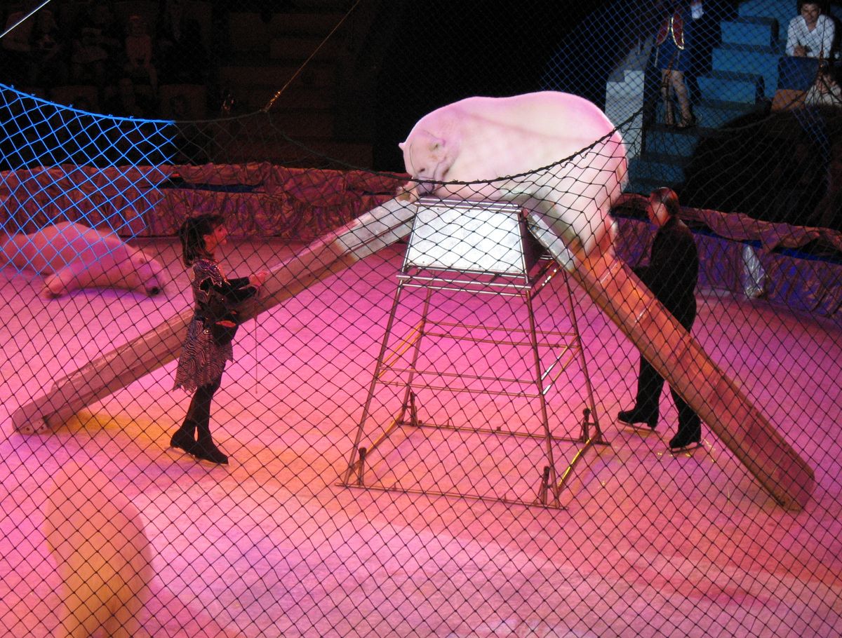 IMG_0483
