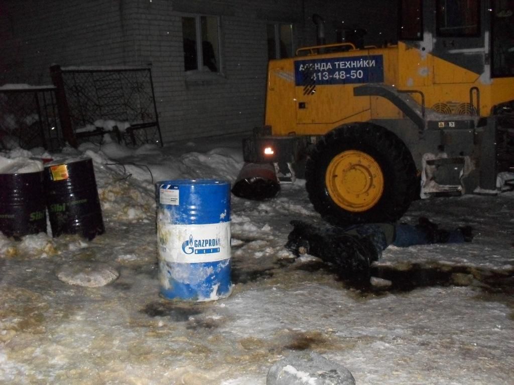 strokina4_Avtozavod_27.01.2011