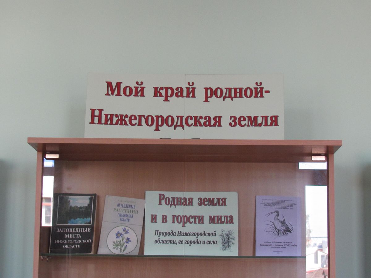 суворов дивеево