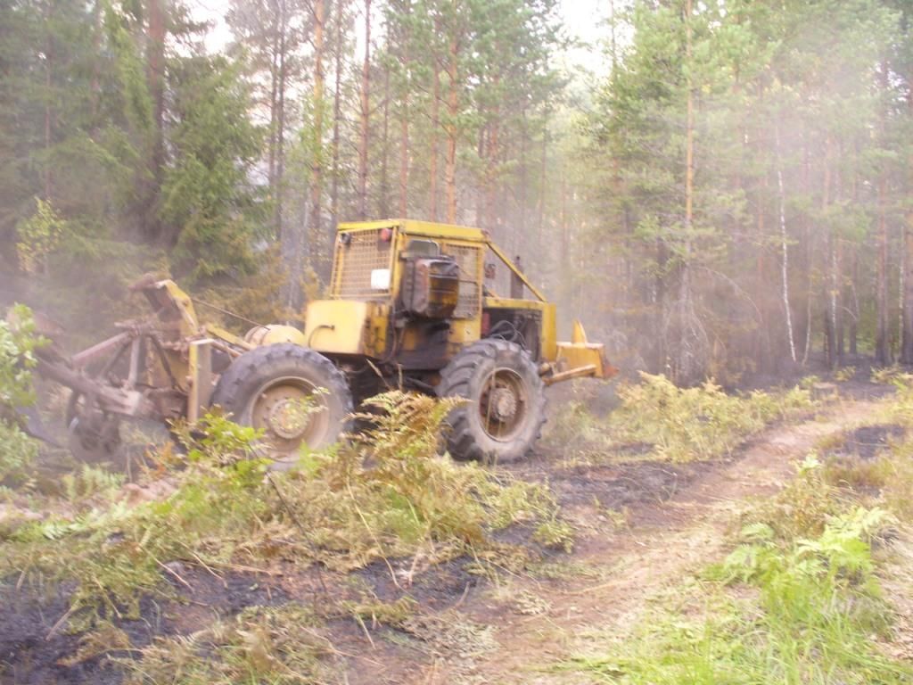 торфяник горит