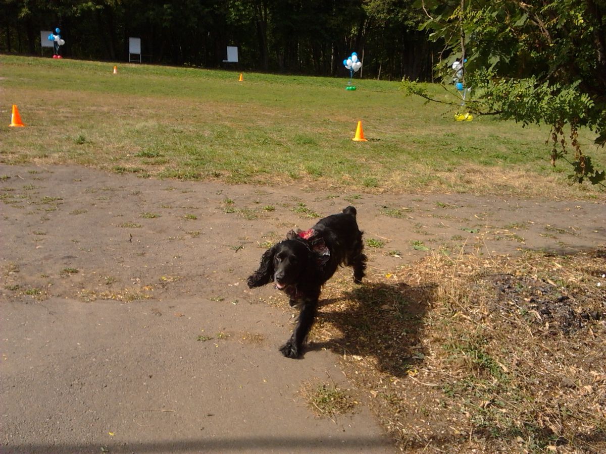 2011-09-02 11.39.26