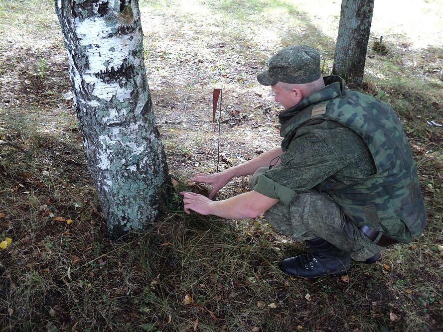 полигон 008