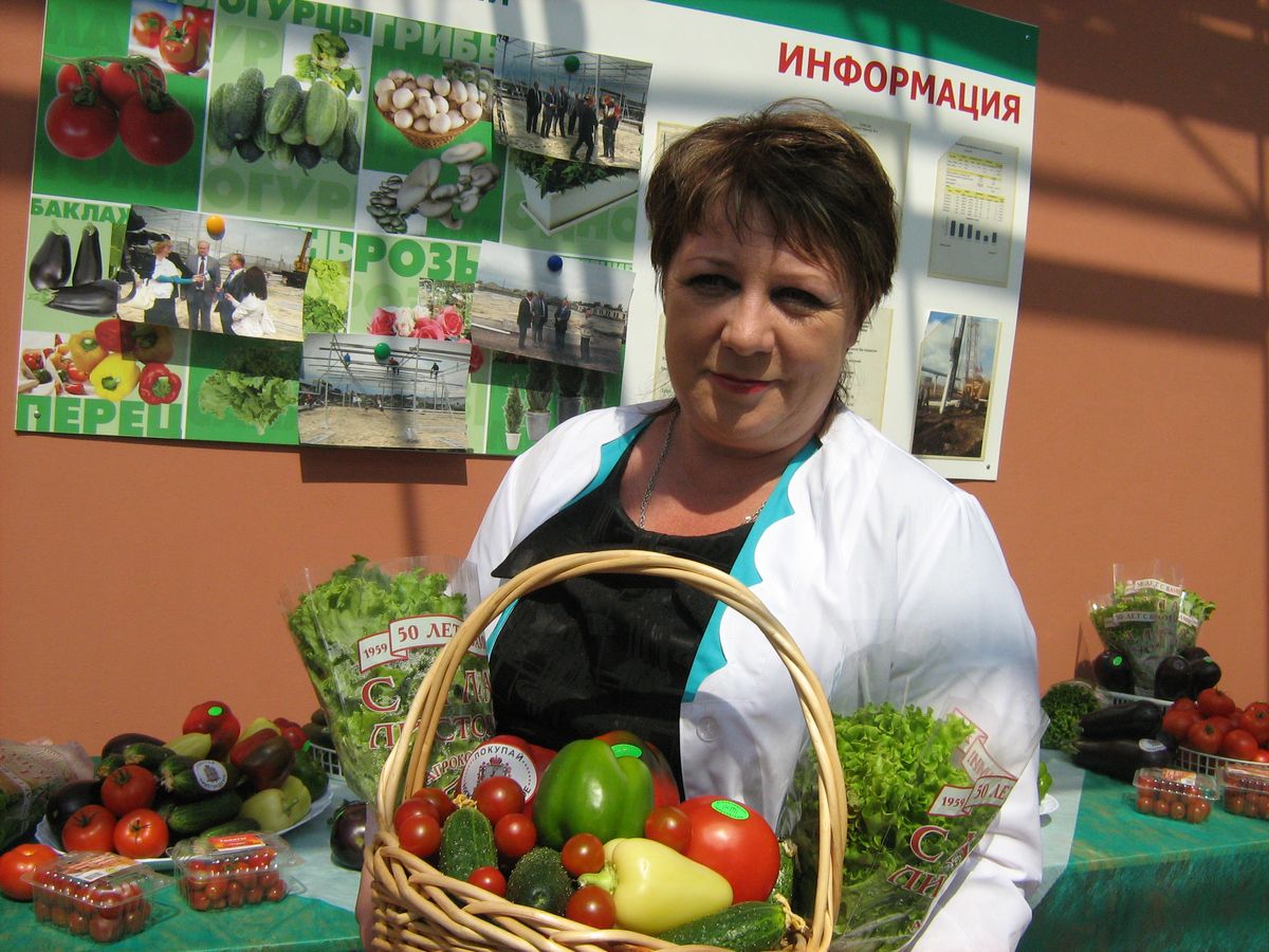 теплицы овощи огурцы-5