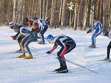 лыжная гонка