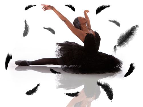 черный лебедь