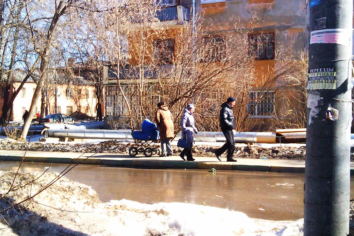 дерево нависло