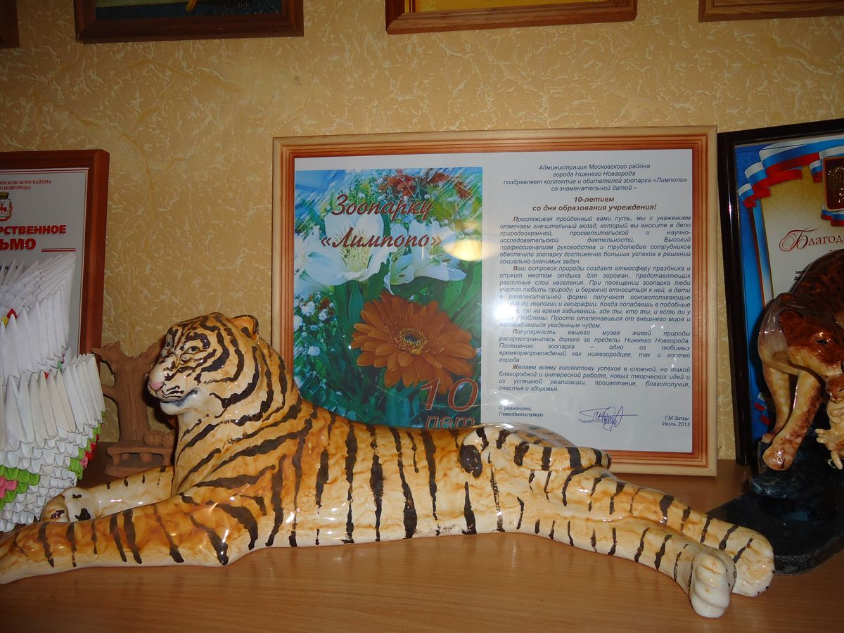 План зоопарка лимпопо нижний новгород